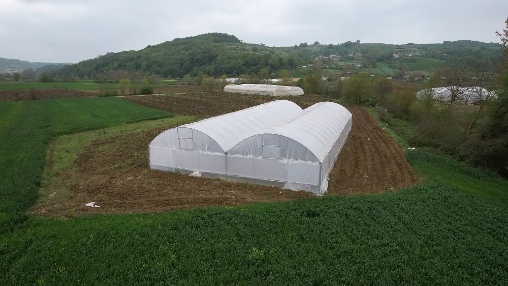 Büyükşehir’den üreticilere yüzde 50 hibeli modern sera desteği;  KOCAELİ’NDE TARIM BÜYÜYOR, SERACILIK GELİŞİYOR