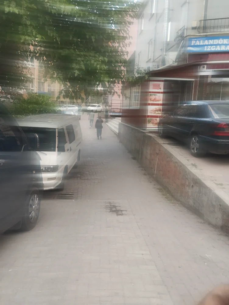 Merkez Mahallesi 166. Sokak sakinleri sivrisineklerden şikayetçi  