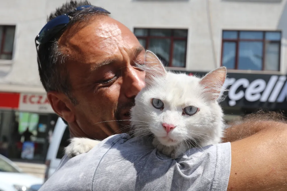 Kayıp Kedisine Günler Sonra Kavuştu, Gözyaşları Bu Kez Sevinçten Aktı