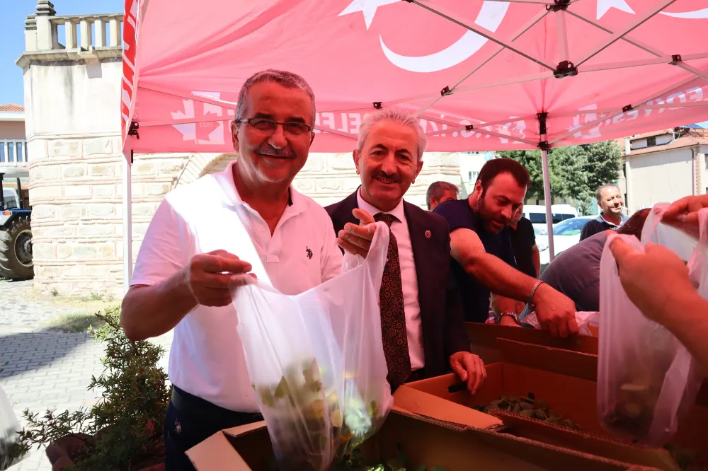 Akmeşe’de vatandaşlara binlerce fide dağıtıldı