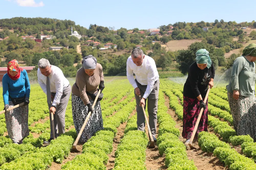 Büyükşehir destekliyor, üretim artıyor